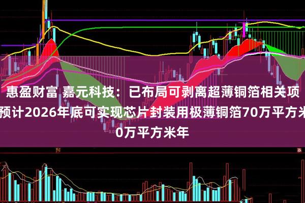 惠盈财富 嘉元科技：已布局可剥离超薄铜箔相关项目 预计2026年底可实现芯片封装用极薄铜箔70万平方米年