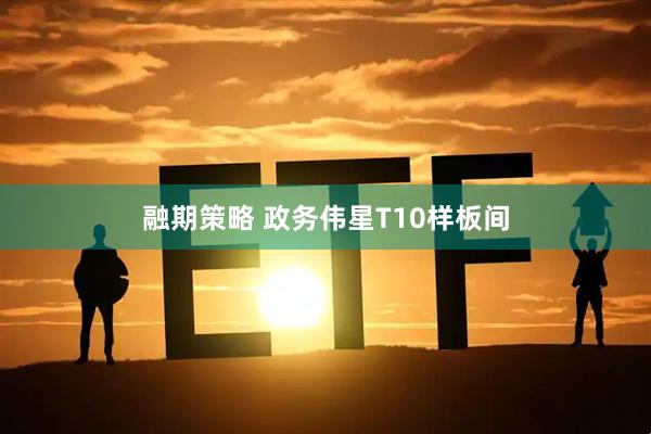 融期策略 政务伟星T10样板间